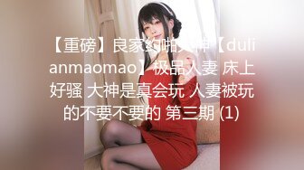 【重磅】良家约啪大神【dulianmaomao】极品人妻 床上好骚 大神是真会玩 人妻被玩的不要不要的 第三期 (1)