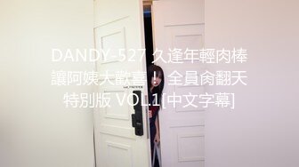 DANDY-527 久逢年輕肉棒讓阿姨大歡喜！ 全員肏翻天特別版 VOL.1[中文字幕]