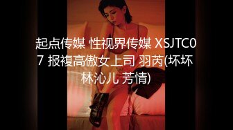 起点传媒 性视界传媒 XSJTC07 报複高傲女上司 羽芮(坏坏 林沁儿 芳情)