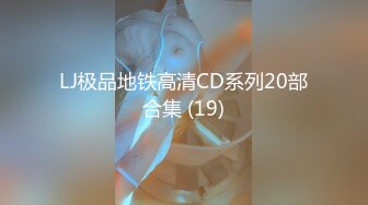 LJ极品地铁高清CD系列20部合集 (19)