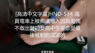 [高清中文字幕]HND-534 滿員電車上被痴漢插入因為羞愧不敢出聲的女高中生星奈愛最後被射的滿滿的