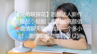 【兄弟联探花】泡良达人新作，极品小姐姐，明星脸高颜值，调情聊天卿卿我我一个多小时，激情啪啪劲爆刺激 (2)