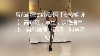 番茄超骚的小御姐【安安妮呀】 高跟鞋，黑丝，妖艳指甲油，自慰棒插小逼逼，叫声骚劲！