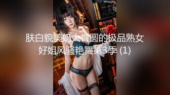 肤白貌美奶大臀圆的极品熟女好姐风骚艳舞第3季 (1)